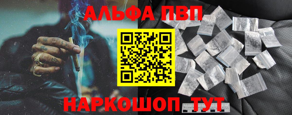 Альфа ПВП СК Каменка