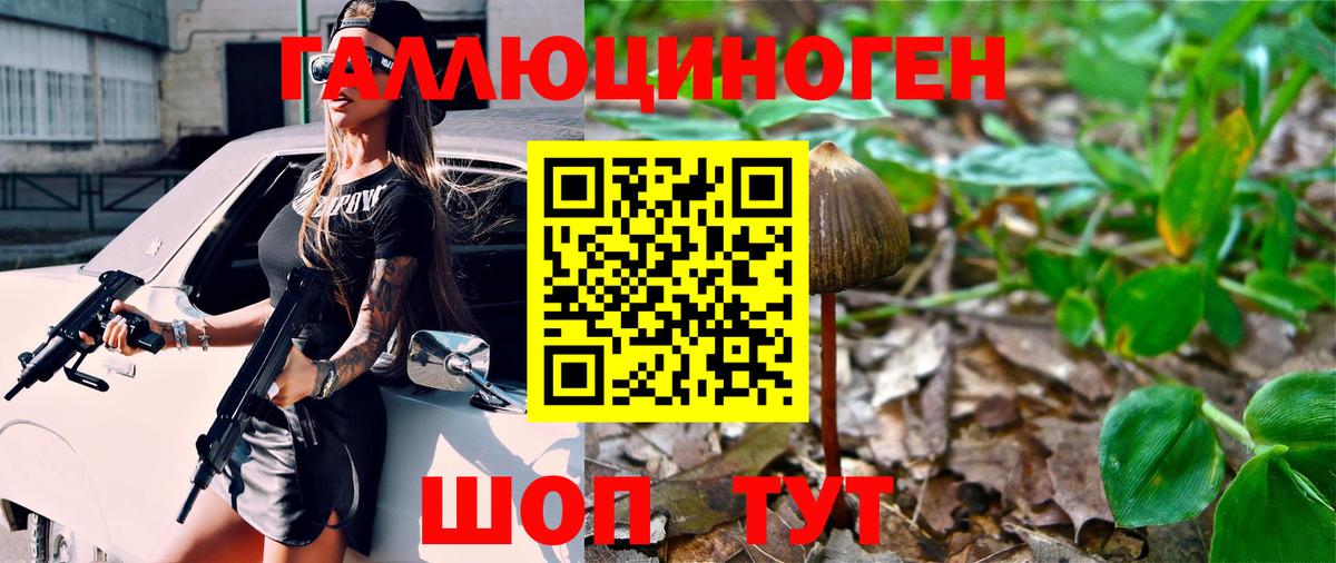 Каменка  Псилоцибиновые грибы Psilocybine cubensis  Вход с VPN  Галлюциногенные грибы Magic Shrooms 