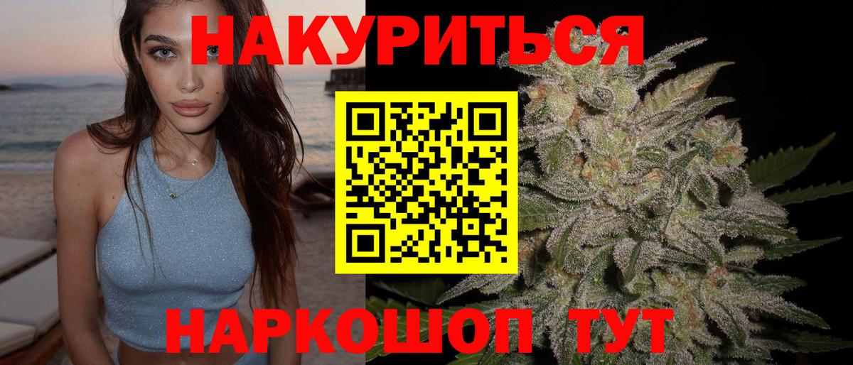 Марихуана план  МАРИХУАНА конопля  Каменка  Вход с VPN  Каннабис сатива 